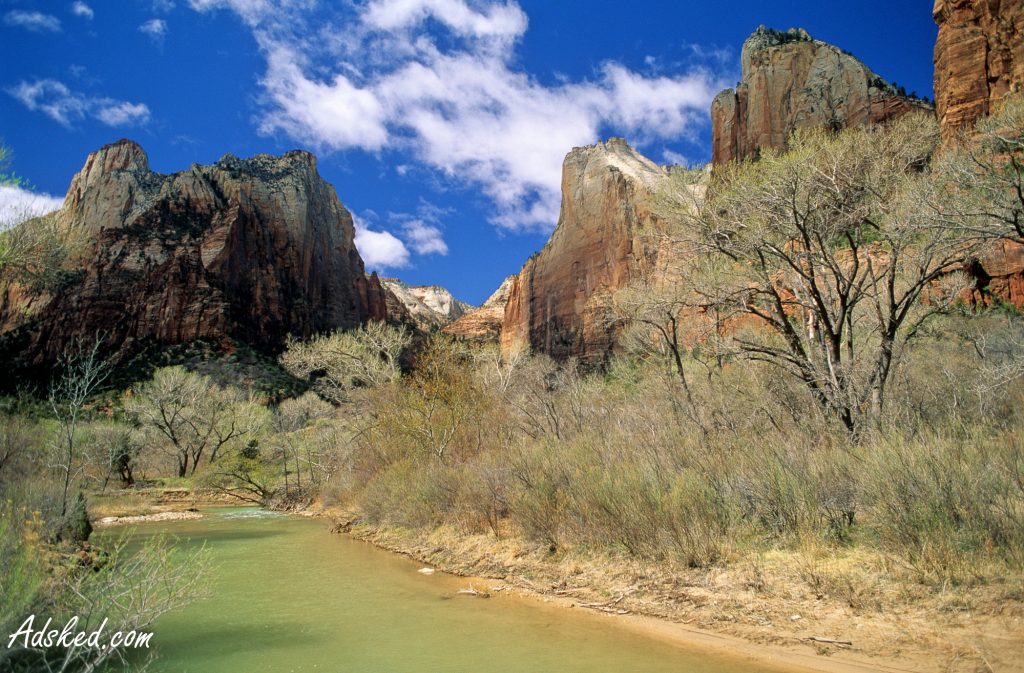 Rivière des Etats unis et arbres verts