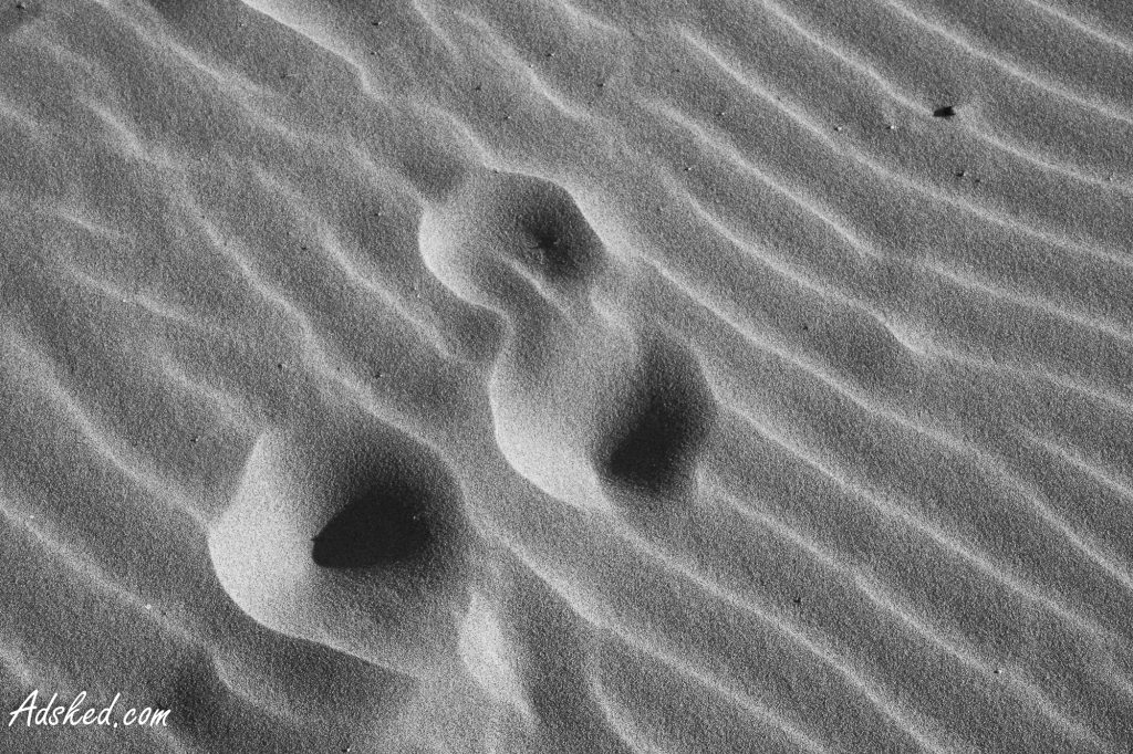 signs in the sand